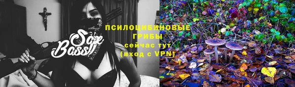 таблы Богданович