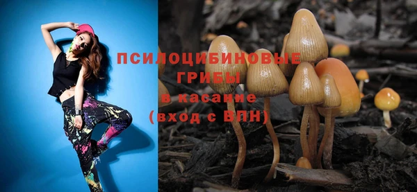 MDMA Premium VHQ Богородицк