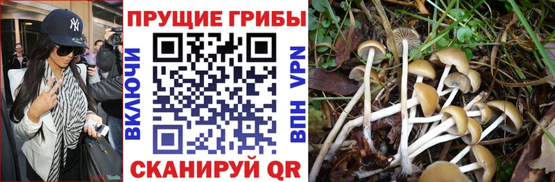 Псилоцибиновые грибы мухоморы  Энем 